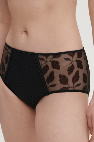 Shorty Dahlia - Noir