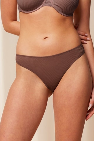 Slip Harmony Spotlight Tai01 - Bruin