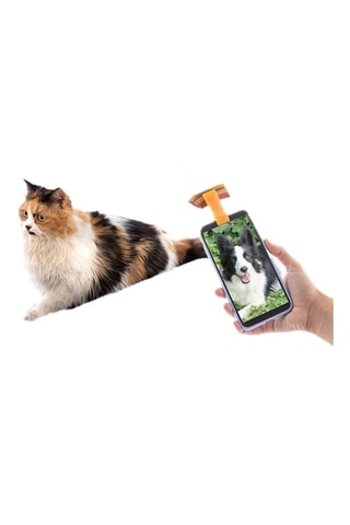 Hamaca para colgar y pinza para selfie para gatos