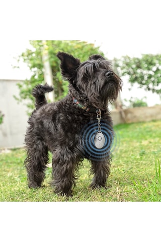 Repelente ultrasónico para mascotas