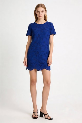 Robe droite en dentelle Calvie - Bleu roi