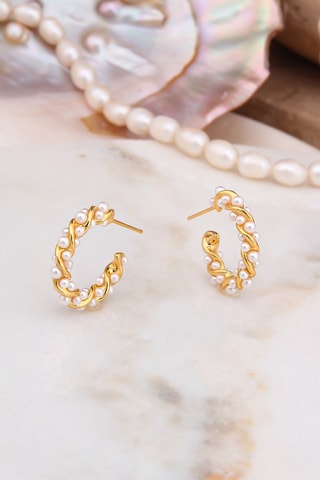 Creolen - Cultivéparels