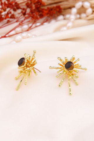 Oorbellen - Tijgerogen