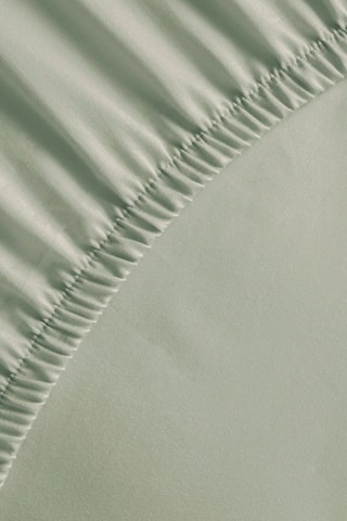 Drap-housse en satin de coton 80 fils/cm² Uni - Vert clair