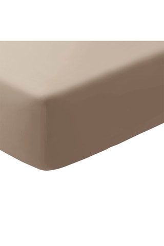 Drap-housse en satin de coton 79 fils/cm² Uni  - Taupe