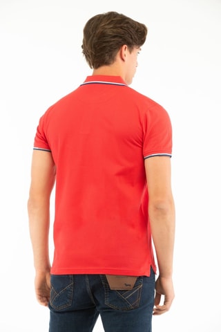 Polo - Harmont & Blaine Jeans - Blanc, rouge et bleu