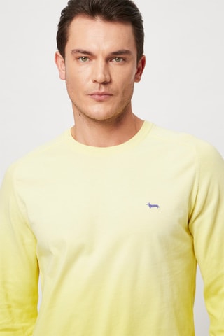 Pull - Harmont & Blaine - Jaune et bleu