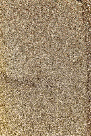 Giacca - Dorato - Rabanne