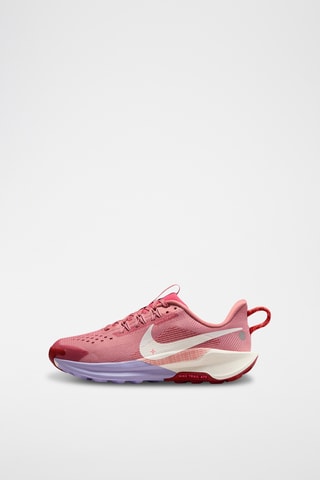 Nike Pegasus Trail 5 - Rouge