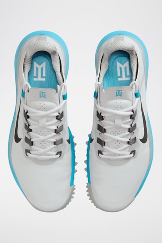 Tiger woods '13 - Gris