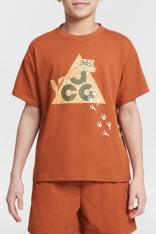 T-shirt Nike AGG - Marron