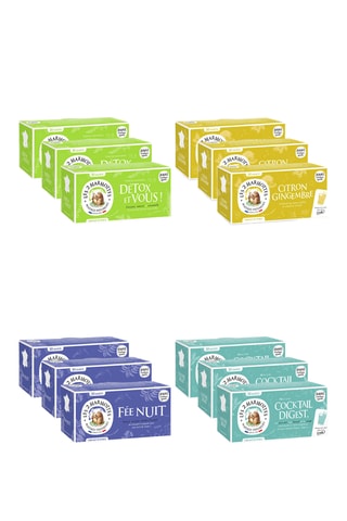 3 x Infusion Cocktail Digest - 30 sachets + 3 x Infusion Fée Nuit - 30 sachets + 3 x Infusion Citron Gingembre - 30 sachets  + 3 x Infusion Détox et vous - 30 sachets