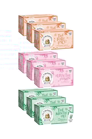 3 x Thé Menth'olé Bio - 30 sachets + 3 x Thé Fort Epicé Bio - 30 sachets + 3 x Fleur'thé Jasmin Bio - 30 sachets