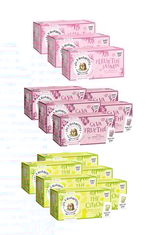 5 x Thé noir framboise et hibiscus bio - 30 sachets + 3 x Fleur'thé Jasmin Bio -  30 sachets + 6 x Thé citron bio - 30 sachets