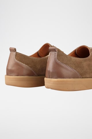 Sapatilhas - Toupeira