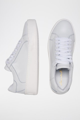 Baskets en cuir Antilina - Anna Morellini - Blanc