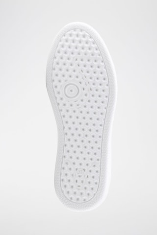 Baskets en cuir Antilina - Anna Morellini - Blanc