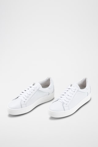 Baskets en cuir Eugella - Blanc