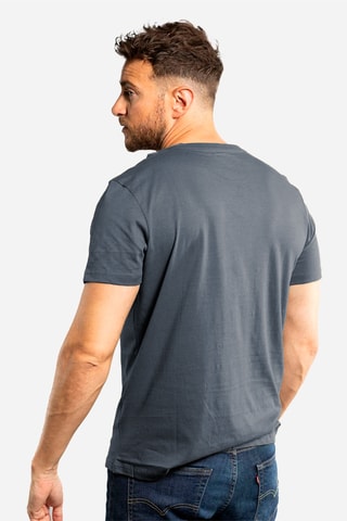 Camiseta regular - Gris y blanco