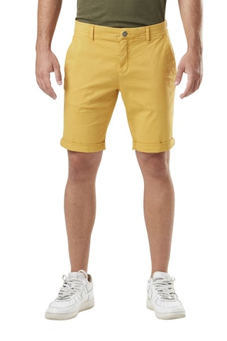 Bermudas Barry - 