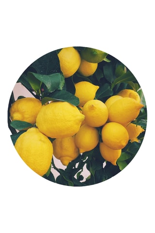 Mascarilla Hydra Intense - 250 ml