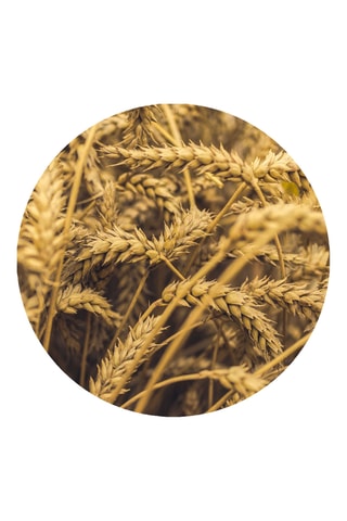 Mascarilla Hydra Intense - 250 ml