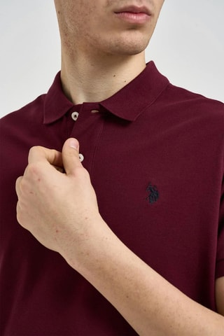 Polo - Bordô