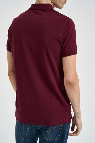 Polo - Bordô
