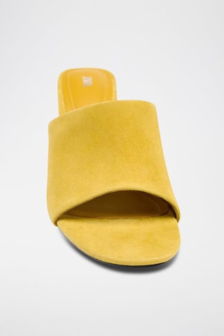 Mules de salto em nobuck - Mostarda