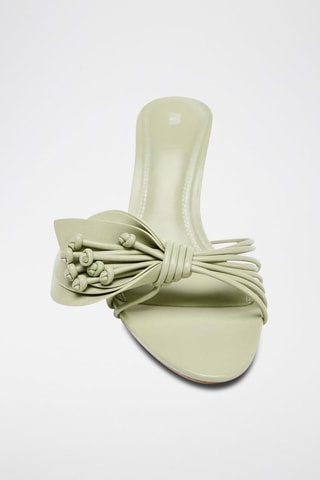 Mules de salto - Verde-água