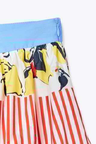 Saia estilo patinadora - Vermelho e azul-claro