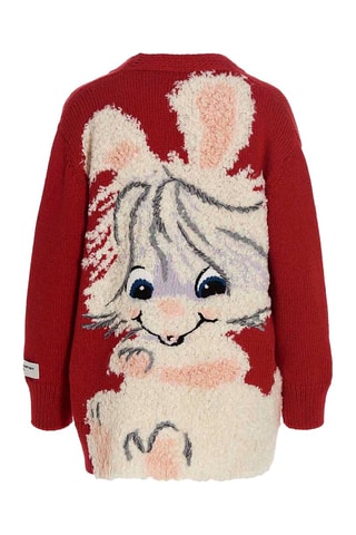 Wollen Vest - Rood en multicolor