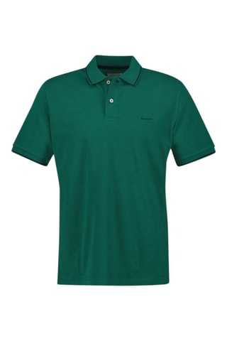 Polo regular em algodão biológico - Verde