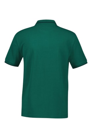 Polo regular em algodão biológico - Verde