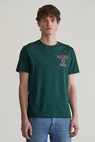 T-shirt - Verde e bordô