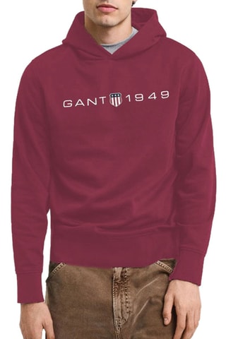 Sweat com capuz regular - Bordô