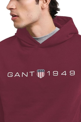 Sweat com capuz regular - Bordô