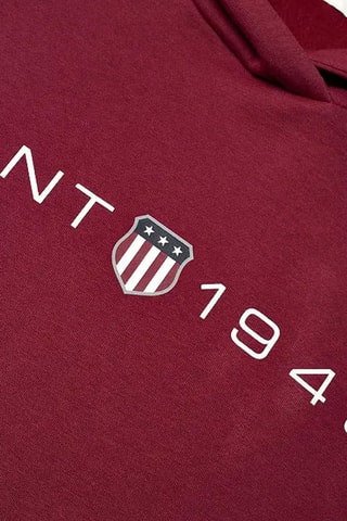 Sweat com capuz regular - Bordô