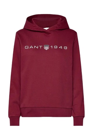 Sweat com capuz regular - Bordô