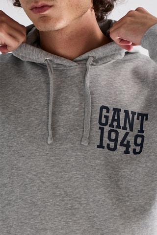 Sweat com capuz - Cinzento