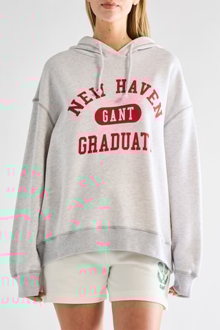 Sweat com capuz - Cinzento