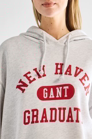 Sweat com capuz - Cinzento