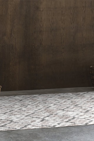 Tapis Jensen-417 - Gris et beige clair