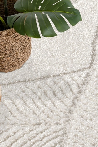 Tapis Lounge 0629 - Crème