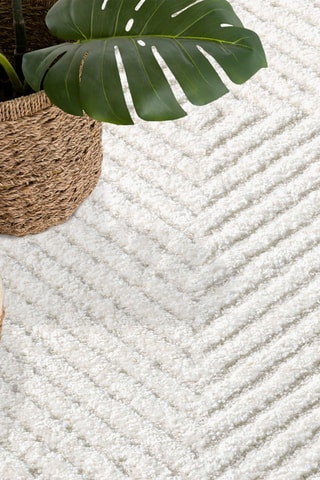 Tapis Lounge 0632 - Crème