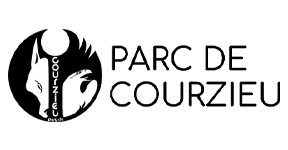 00_logo_V4