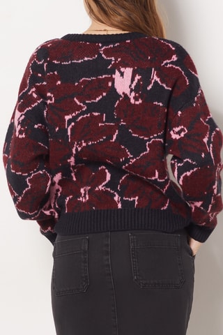 Pull - Bleu nuit et bordeaux