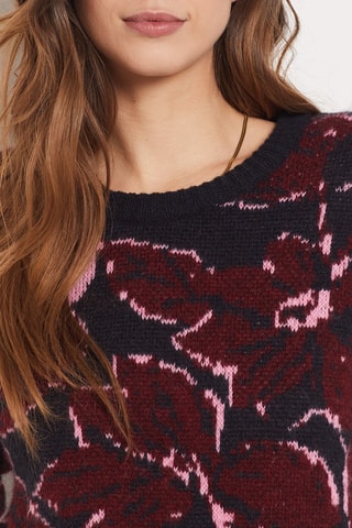 Pull - Bleu nuit et bordeaux