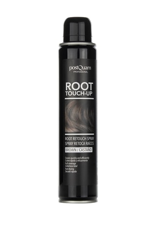 Touch Up Spray Bruin 200 ml