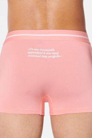 Parigamba Cemecestiz - Rosa